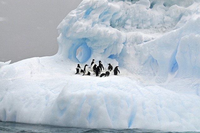 antarctique